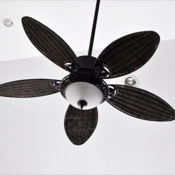 ceiling fan