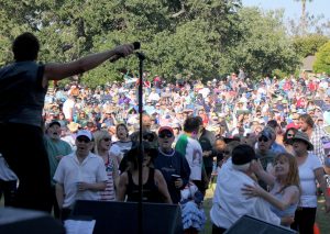 summer concert crowd