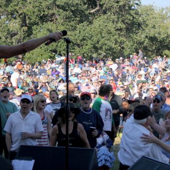 summer concert crowd