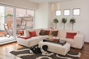 bright lit family room