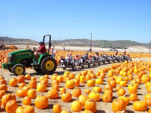 underwood farm fall festival