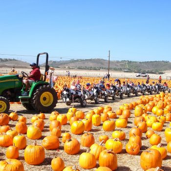 underwood farm fall festival