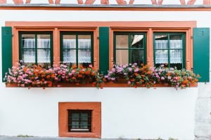 window boxes