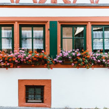 window boxes