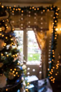 christams tree by window