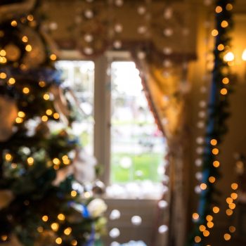 christams tree by window