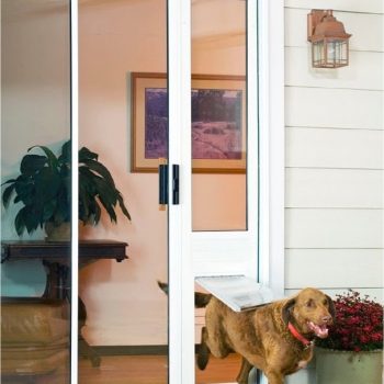 pet door on slider