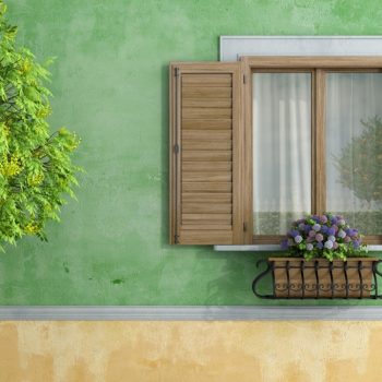 wood clad windows
