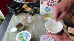 making ant trap with borax