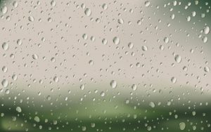 rain drops on window