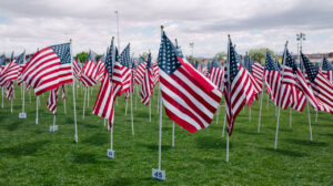 flags on lawn